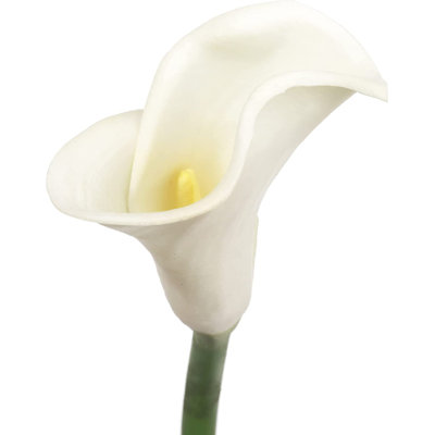 Arrangement floral Lillies