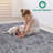 5X7 Non-Shedding For Living Room For Bedroom Dining Home Office Stylish And Stain Resistant Area Rug-354507379