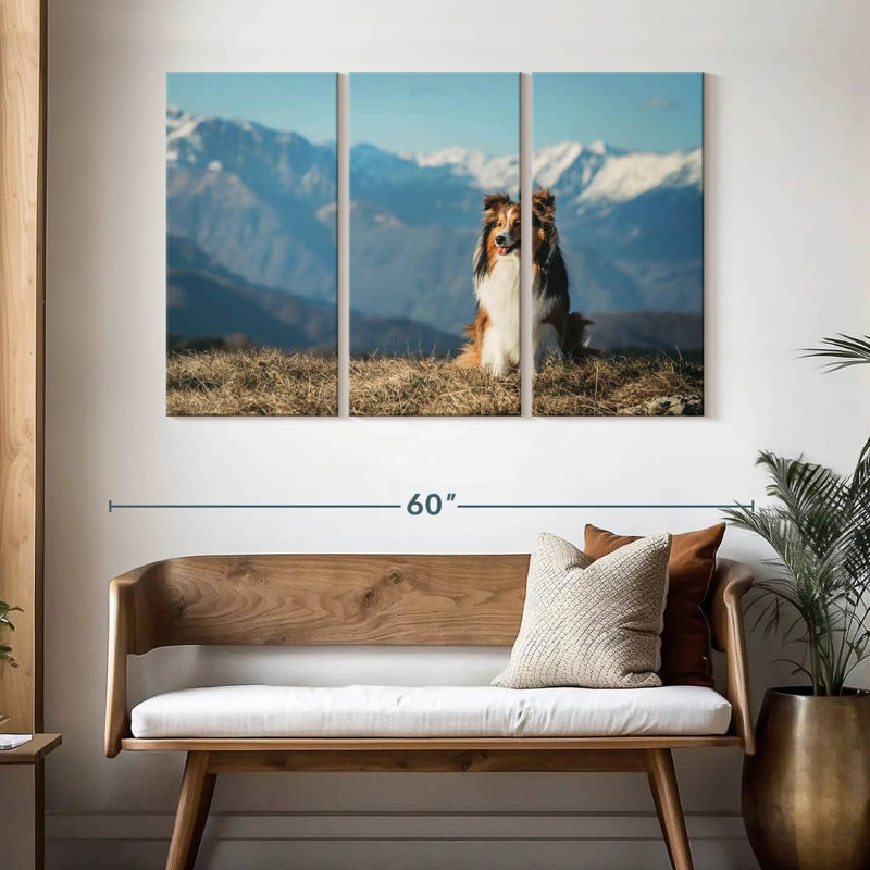 Brampt Shetland Sheepdog, 32" H x 50" W