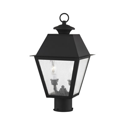 Fraida Lantern Head