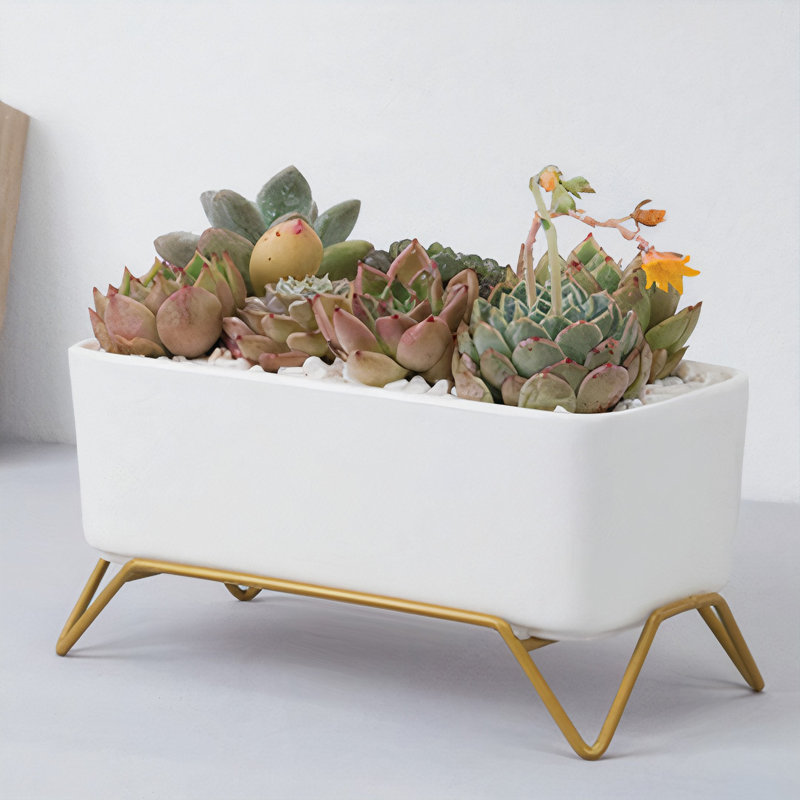 Pot Planter