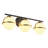 3-lamp matte black adjustable glass Vanity Light