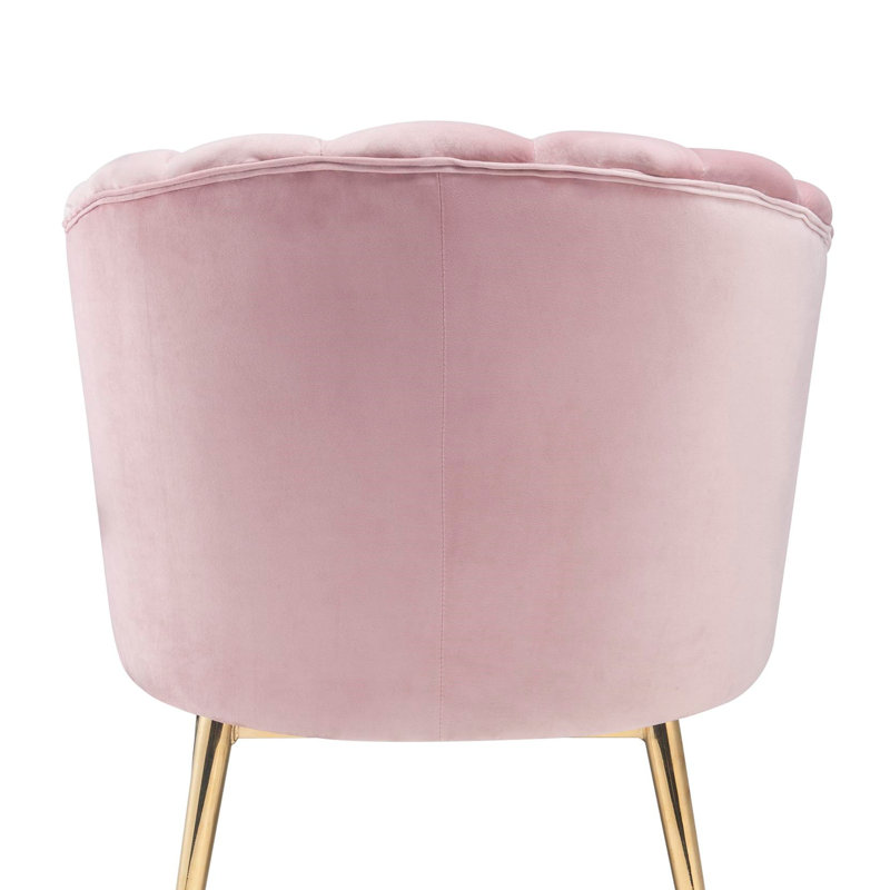 Chaise d'appoint Colla Midnight & Gold Finish, Velours rose