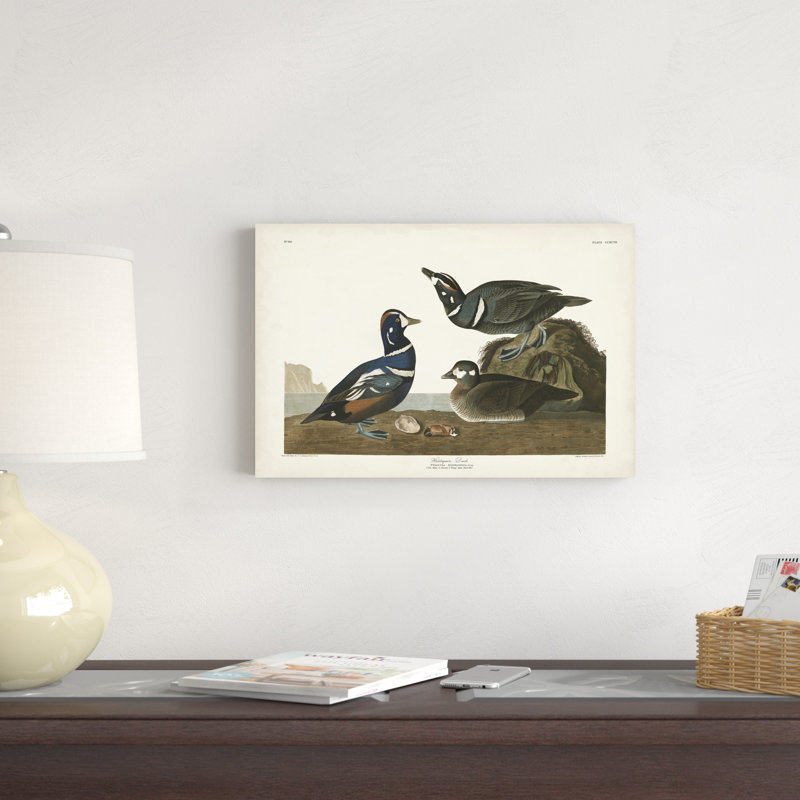 Pl 297 canard arlequin, H 12 po x l 18 po