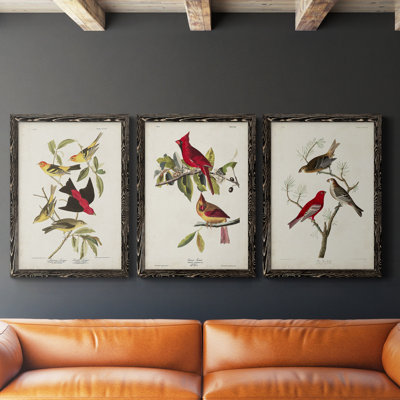Pl 354 Louisiana Tanager - Ensemble de 3 peintures sur toile encadrées
