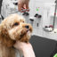Table de toilettage pour chien pliable 43,5 po avec bras doubles réglables et tablette de rangement Structure en métal robuste pouvant supporter jusqu'à 220 lb-89686375