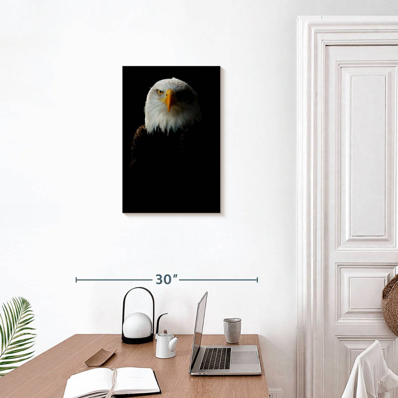 Aigle à tête blanche Brampt, H 24 po x l 16 po