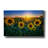 'Aroostook Sunset' by Rick Berk Canvas Wall Art-180517772