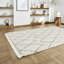 Pechler area rug Machine Woven Rectangle Cream/Grey