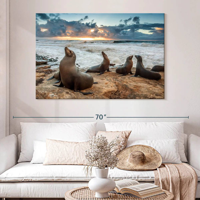 Brampt Sea Lions In La Jolla