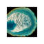 Luminous Sphereoid VI Print by Zoey Riley-27124682-27124685