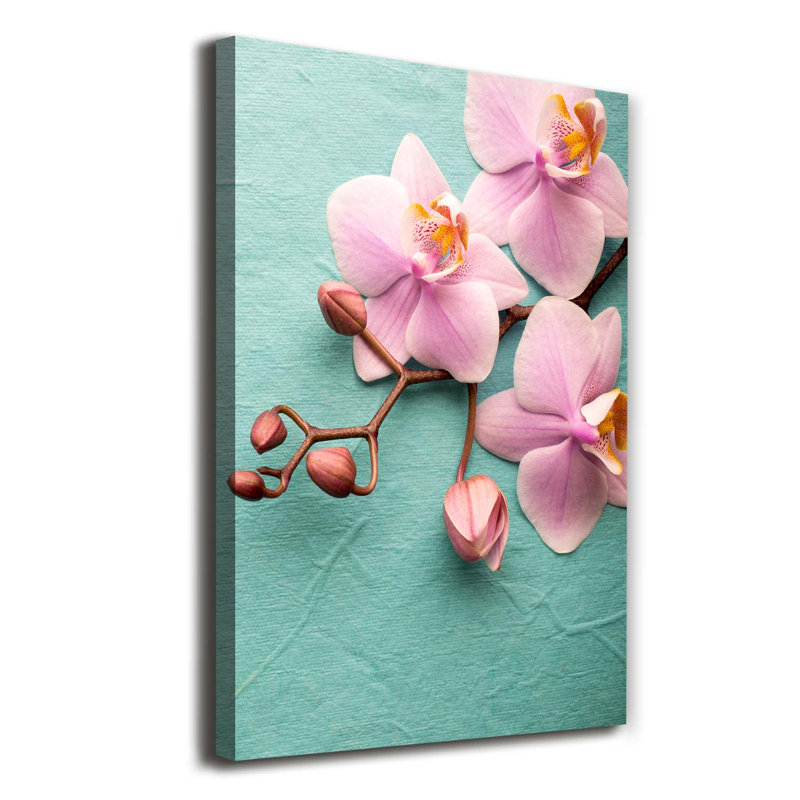 Pink Orchid - Wrapped Canvas Print