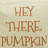 Hey There Pumpkin Fabric Door Stop