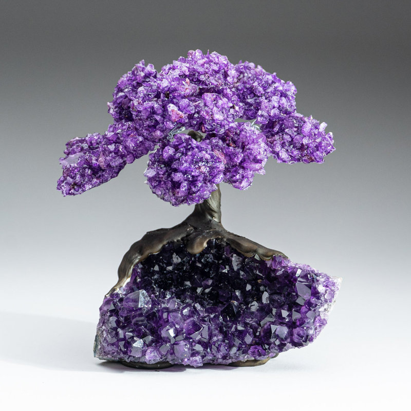 Large Amethyst Clustered Gemstone Tree on Amethyst Matrix (The Protection Tree)