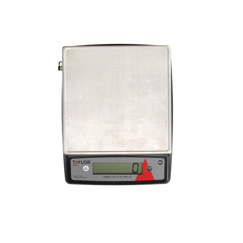 Taylor Digital Scale