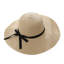 Chapeau de paille-92487905