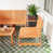 Apricot Brown est en rupture de stock