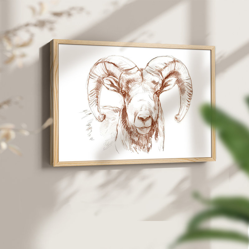 Big Horn Sheep II - Reproduction encadrée - Restickable, Naturel, H 11 po x l 14 po