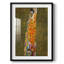 Gustav Klimt IV - Impression encadrée-1054762234