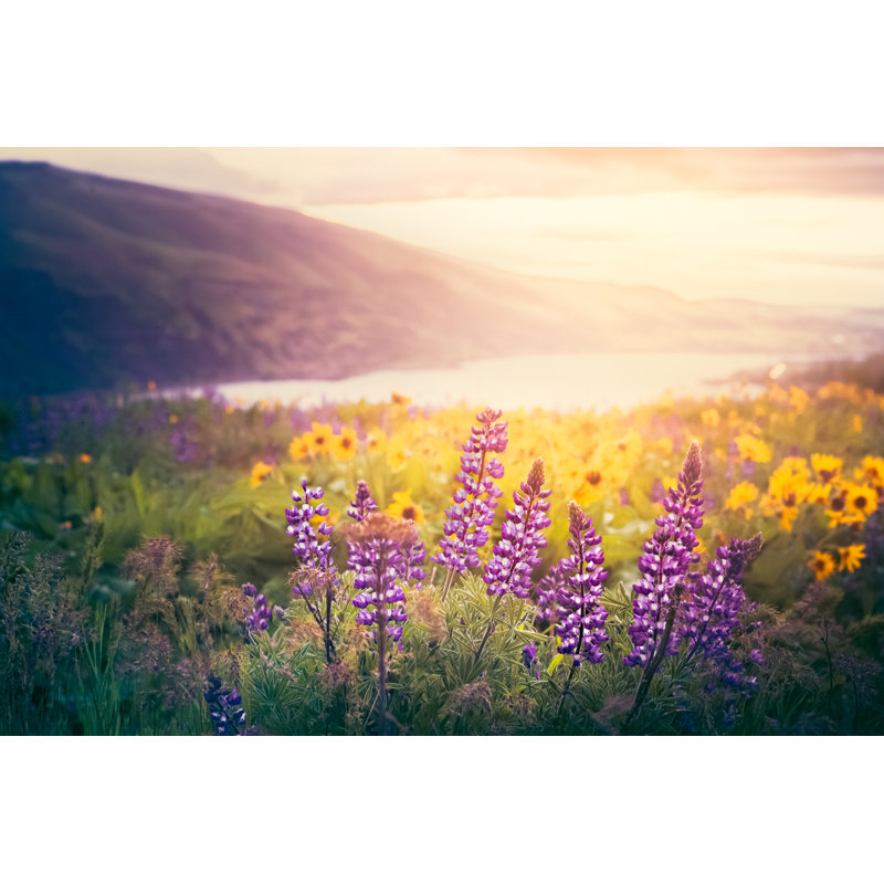 Columbia Gorge Wildflowers par Debib Bishop, H 32 po x l 48 po