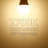 LED A21 Light Bulbs, 100W Eqv. Dimmable, E26 Base, CRI 90, UL & Listed-56785722