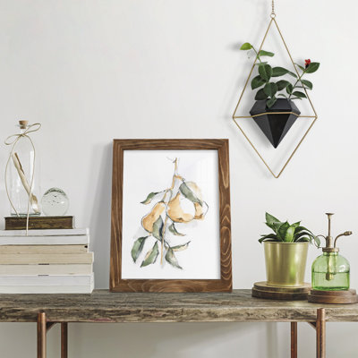 Watercolor Fruit Contour I - reproduction d'art sur toile