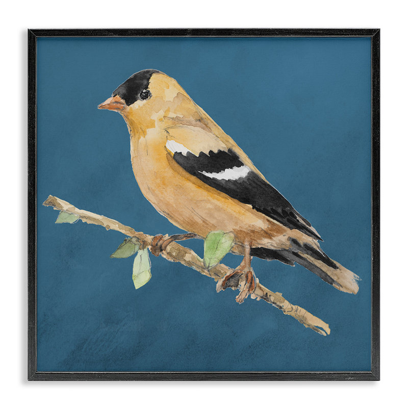 Art traditionnel d'oiseau jaune par Lanie Loreth, H 12 po x l 12 po, Giclée encadrée noir minuit