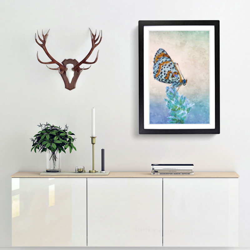 Butterfly Perched upon a Flower - Picture Frame Graphic Art Print, Black Framed, 45cm H x 33cm W x 2cm D