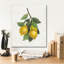 Toile épique «Lemon Branch 3» par Albena Hristova, graffiti épique, 20 po x 24 po