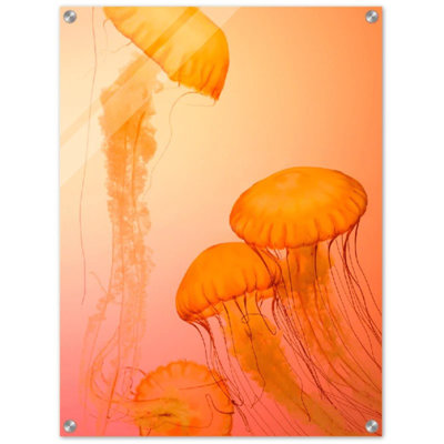 Jellyfish Alternative Print - Ocean Marine Life Wall Art - Jellyfish Illustration Canvas Poster - Abstract Sea Creature Artwork - Coastal Nautical Decor - Deep Sea Wall Hanging - Modern Home Decoration Art Print