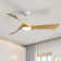 52" 3 - Blade LED Standard Ceiling Fan with Remote Control and Light Kit Included