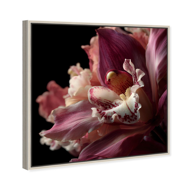 Velvet Labellum Print by Oliver Gal, 31"H x 31"W, Silver Floater Frame