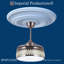 CEILING MEDALLION
