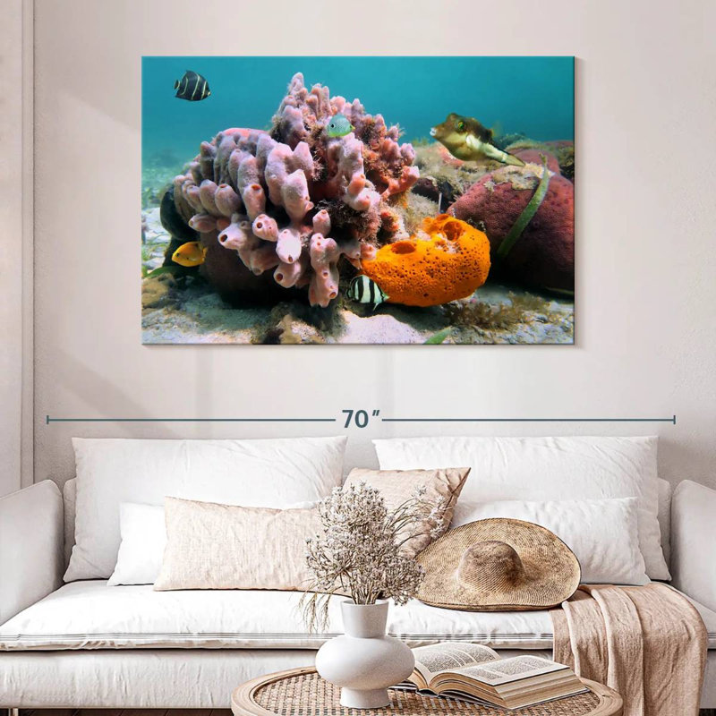 Éponge de mer rose Brampt, H 32 po x l 48 po