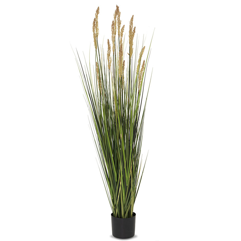 157cm Faux Pampas Grass Grass in Earthenware Pot