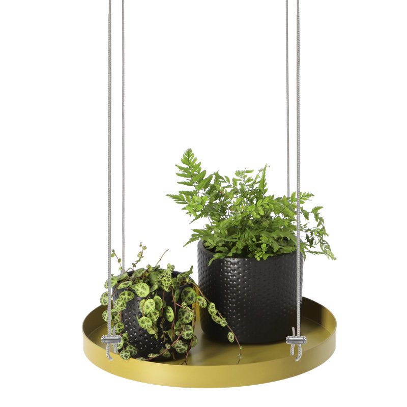Plant Tray Hanging Round, 2.1 H x 24 L x 24cm D, Gold