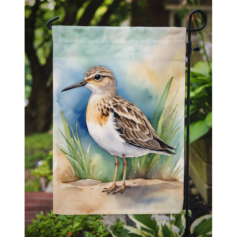 Drapeau de jardin Surfbird Bird, Bécasseau chamois