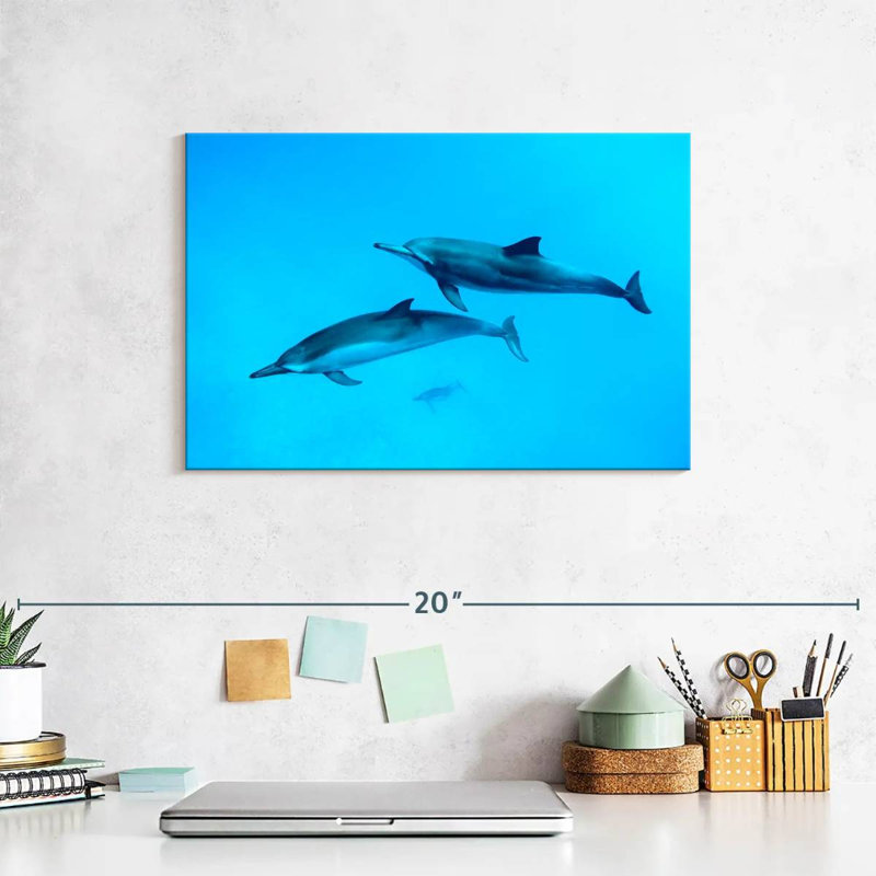 Brampt Maui Spinner Dolphins, 8" H x 12" W