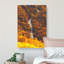 Driving Through a Forest in Brazil by Tawaraya Sotatsu - Wrapped Canvas Painting Print-55342649