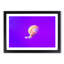 Jellyfish - Picture Frame Graphic Art Print-55609918-55609922