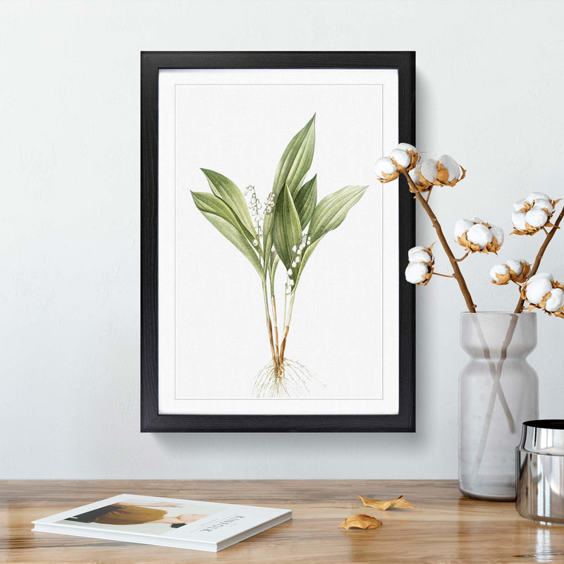 Lily of the Valley by Pierre-Joseph Redoute - Picture Frame Painting Print, Black Framed, 36cm H x 27cm W x 2cm D
