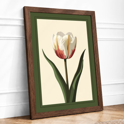 Single Tulip Study Botanical - Print