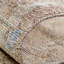 Francess Hand Knotted Oriental Area Rug in Tan-404977079
