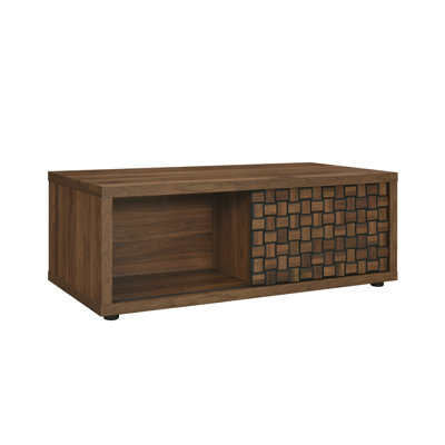Adonia 39.4" Modern Walnut Sliding Door Coffee Table with Hidden Storage