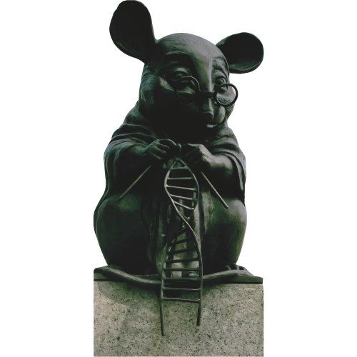 SP13566 Lab Mouse