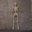 5ft (1.5m) Battery Powered Light up Halloween Skeleton with Poseable Joints & Red LEDs