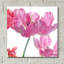 «Parrot Tulips» par Judy Stalus-681735447