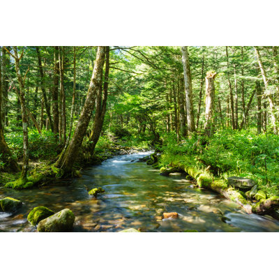 " Mountain Stream, Kamikochi " by T-Tadanobu
