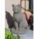 Garden Cat Statue