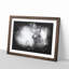 Highland Cow - Picture Frame Graphic Art Print-56863424-56863423